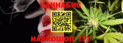 СК Бердск