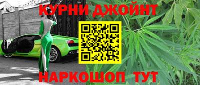 СК Бердск