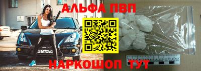 СК Бердск