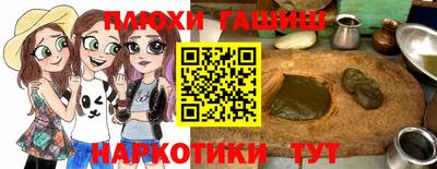 СК Бердск