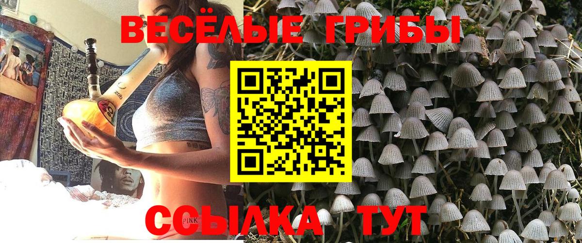 Магадан  Галлюциногенные грибы Magic Shrooms  купить наркотики сайты  Вход с VPN 